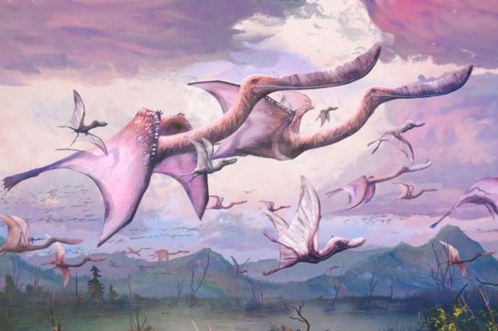 Sains Terbaru, Bayi Pterosaurus Langsung Bisa Terbang Setelah Menetas - National Geographic