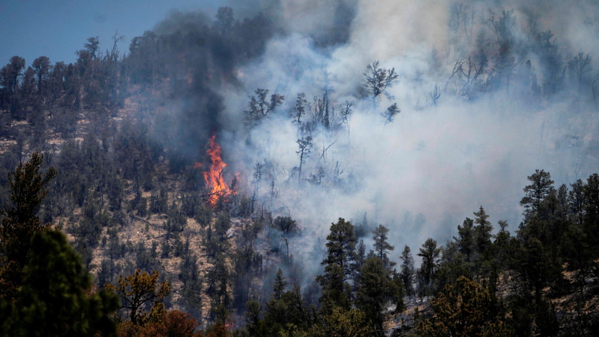 Utredare: Skogsvårdares eldningar orsakade rekordbranden i New Mexico - DN.SE - Dagens Nyheter