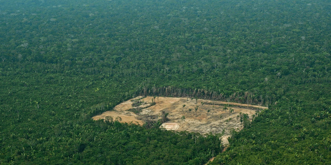 Déforestation importée : l’UE compte sur l’imagerie satellite pour effectuer des contrôles - Europe 1