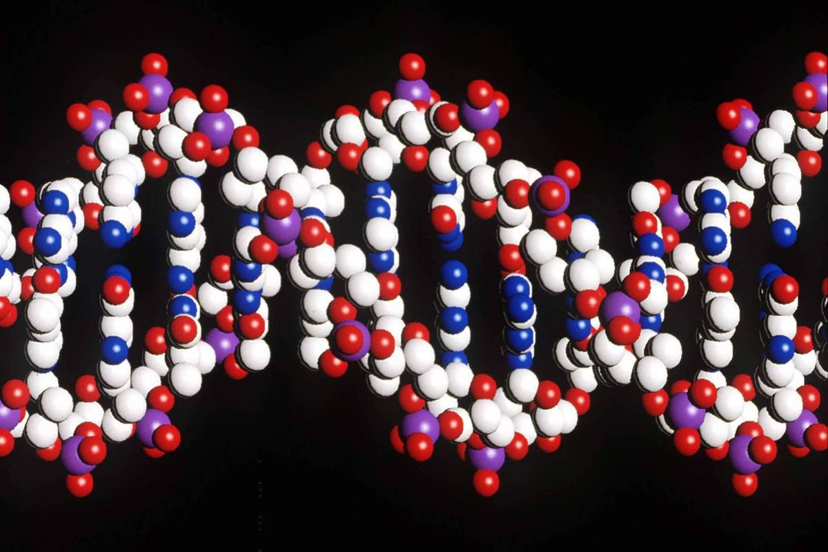 Genoma humano é sequenciado por completo pela primeira vez - UOL