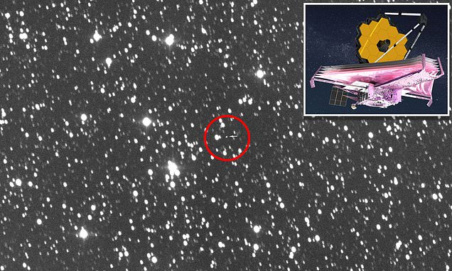 James Webb Space Telescope is seen from Earth as it settles into orbit - Daily Mail