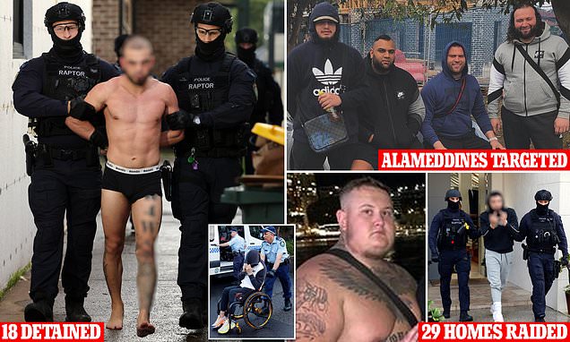 Accused members of Alameddine crew arrested in crackdown on alleged Sydney drug syndicate - Daily Mail