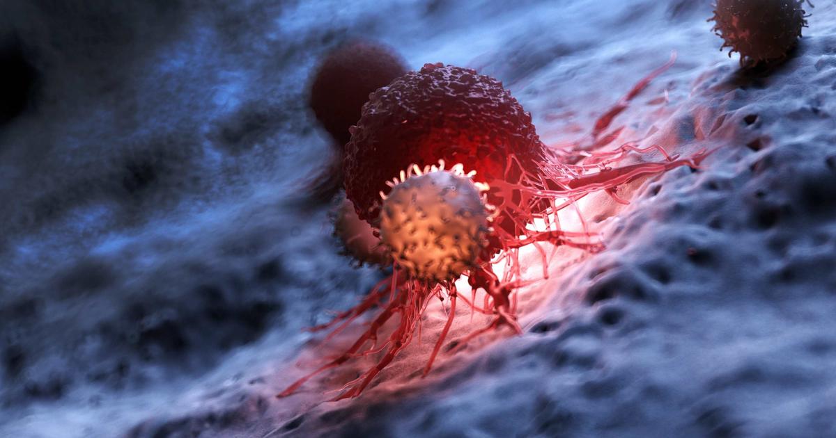 Cancer : «Notre système immunitaire a des capacités qu'aucun médicament ne pourra jamais égaler» - Le Figaro