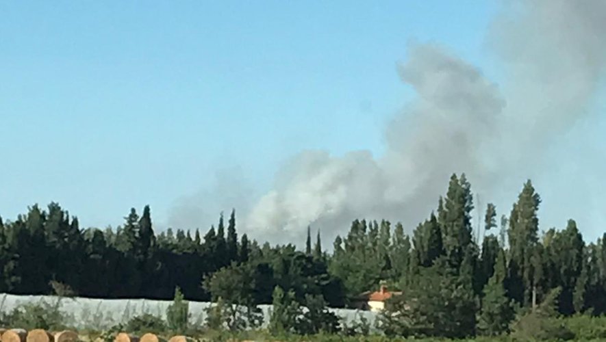 Pyrénées-Orientales : 20 hectares brûlés à Calce dans un deuxième incendie en moins de 24 heures - L'Indépendant