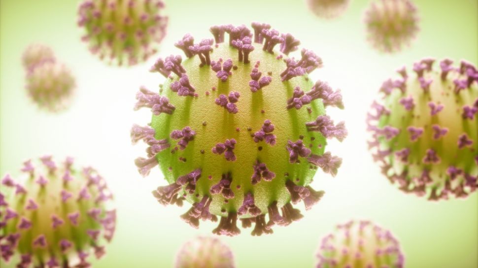 Virus Corona Covid-19 vs Norovirus, Begini Cara Membedakan Gejalanya - Suara.com