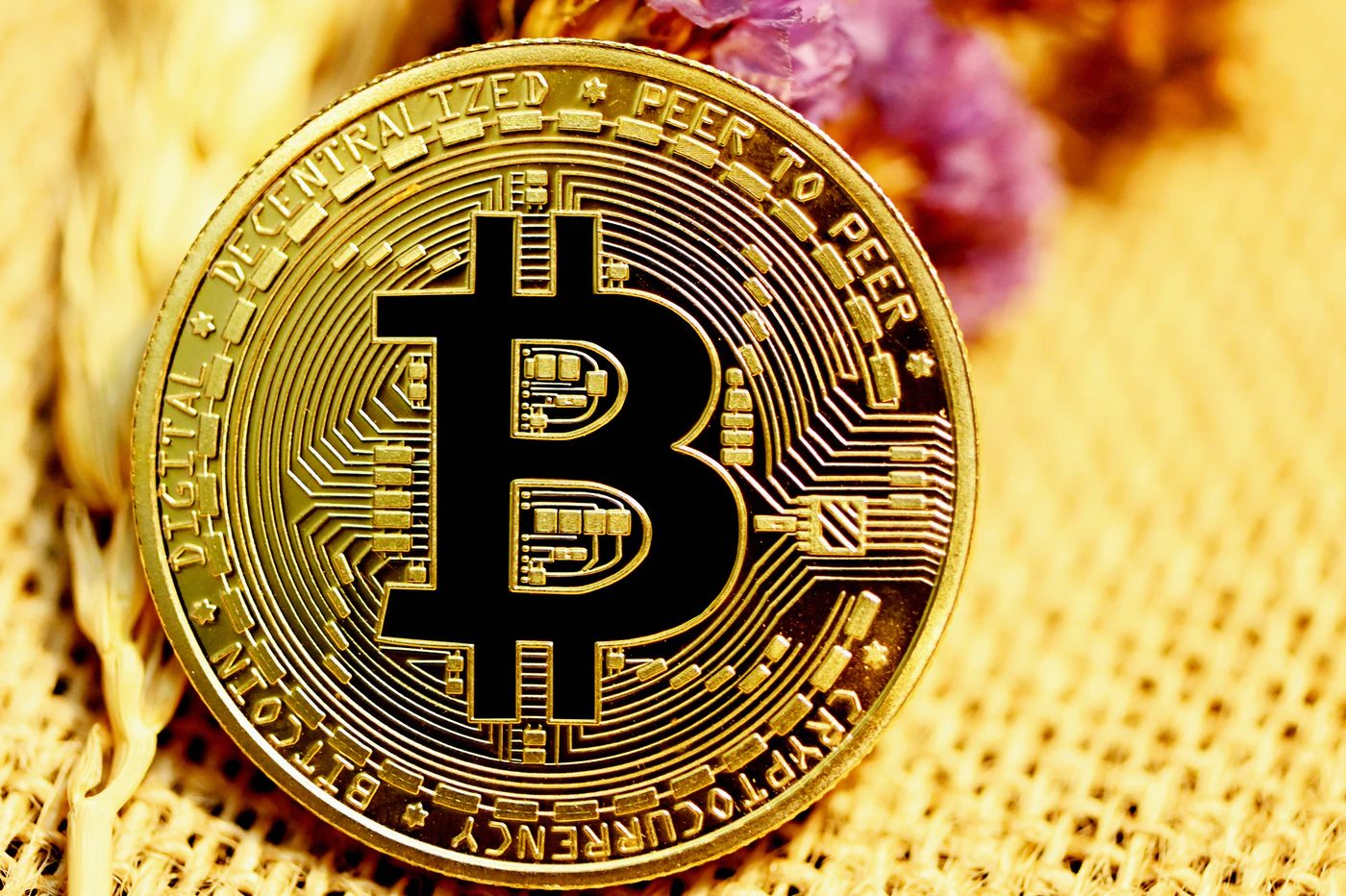 La chute du Bitcoin se poursuit, tout le marché crypto est dans le rouge - 01net.com