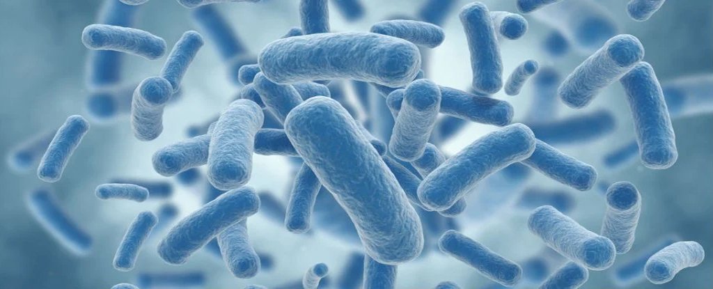 Breeding 2,000 Generations of Bacteria May Have Solved This Major Debate in Biology - ScienceAlert